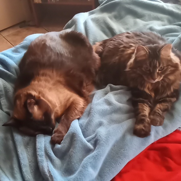 Meet your Posher, Ann - Picture 7 of 7